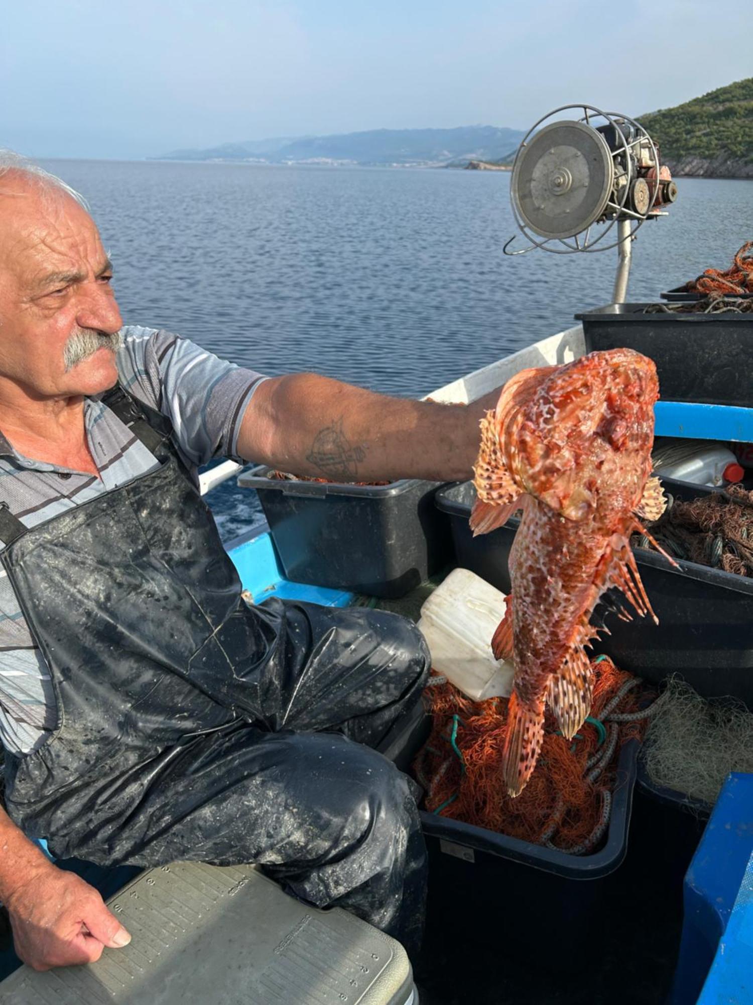 Haus Niko * Senj (Lika-Senj)
